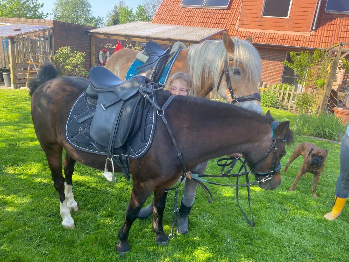 Ferienwohnung Minsener Warft Schillig Exterior foto
